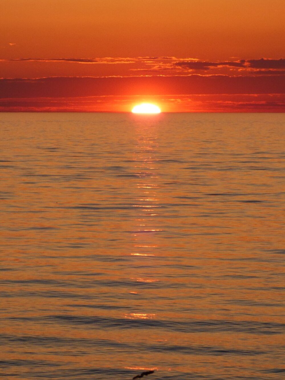 Meet your Posher, Janette